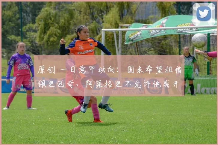 原创 一日意甲动向：国米希望租借佩里西奇，阿莱格里不允许他离开