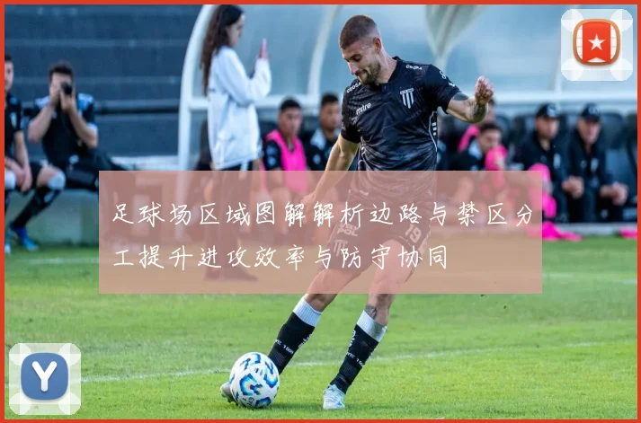 足球场区域图解解析边路与禁区分工提升进攻效率与防守协同