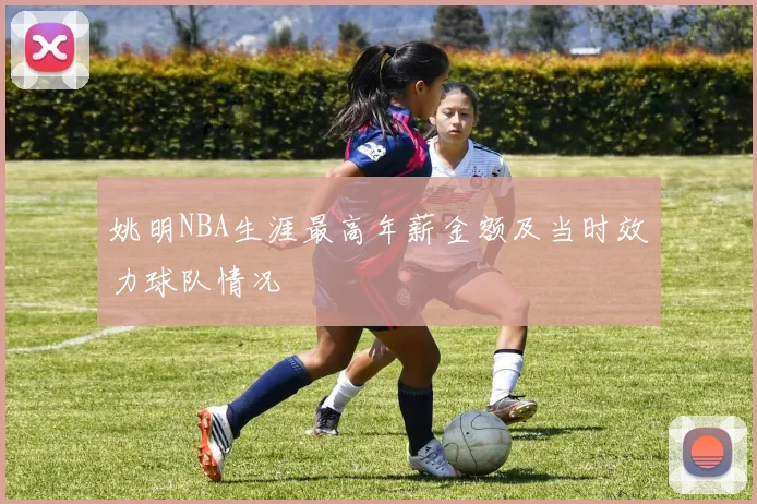 姚明NBA生涯最高年薪金额及当时效力球队情况