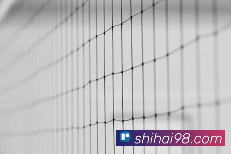 奖项2